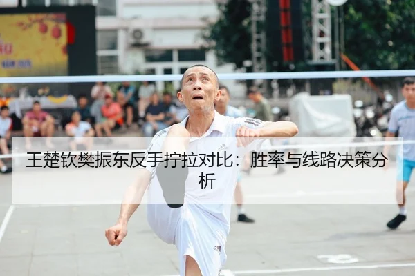 王楚钦樊振东反手拧拉对比：胜率与线路决策分析